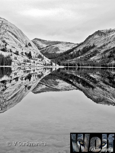 Reflections Yosemite 002 Copyright Villayat Sunkmanitu.jpg